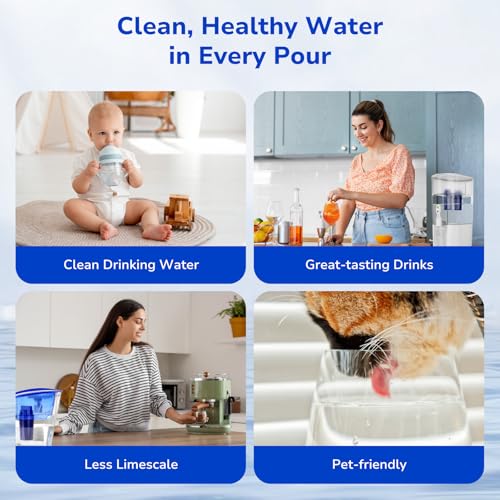 3 Pack PURWater Filter Replacement (3 Count)