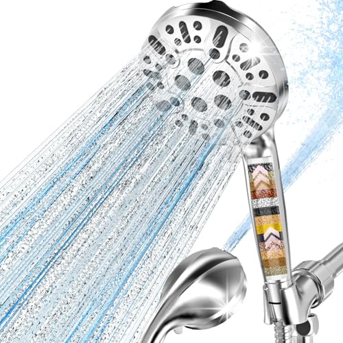 Filtered Shower Head with Handheld