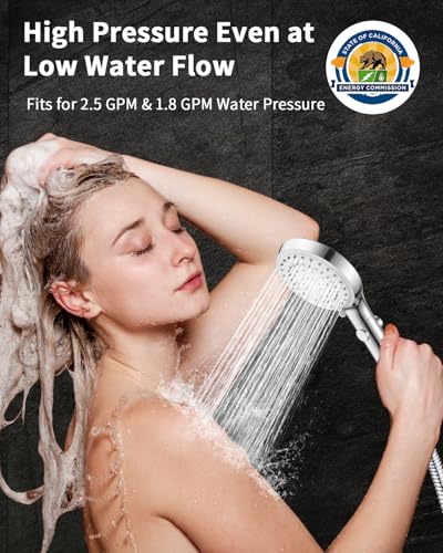 Shower Head with Handheld