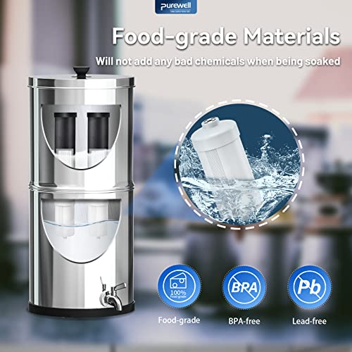 PF 2 Fluoride Purification Elements (2 Count)