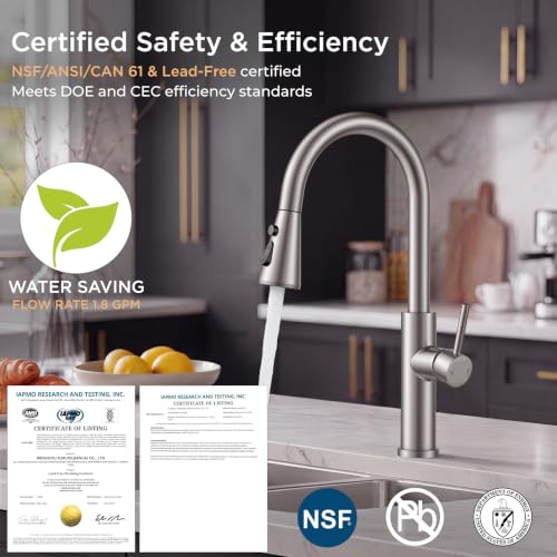 Kitchen Faucet with Pull Down Sprayer