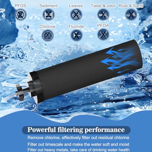 Black Filter 4 Packs by NSF (4 Count)