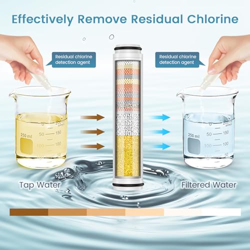 Shower Filter for Handheld Shower Head (2 Count)