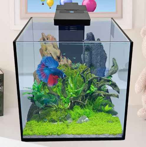 3 Gallon Mini Betta
