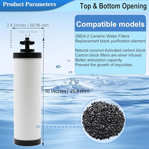 Upgraded】Virego Ceramic Filter Silver Infused (6000 Count)