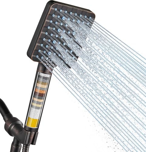 Filtered Shower Head with Handheld