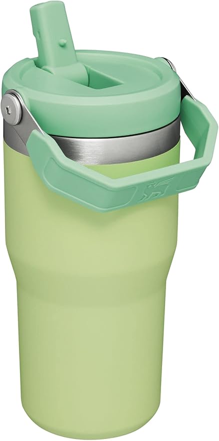 Stanley IceFlow Flip Straw Tumbler with Handle 20 oz | Twist On Lid and Flip Up Straw | Leak Resistant Water Bottle | Insulated Stainless Steel |BPA-Free | Citron