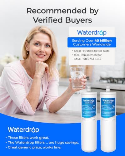 DW80 90 Water Filter Replacement for Aqua (2 Count)
