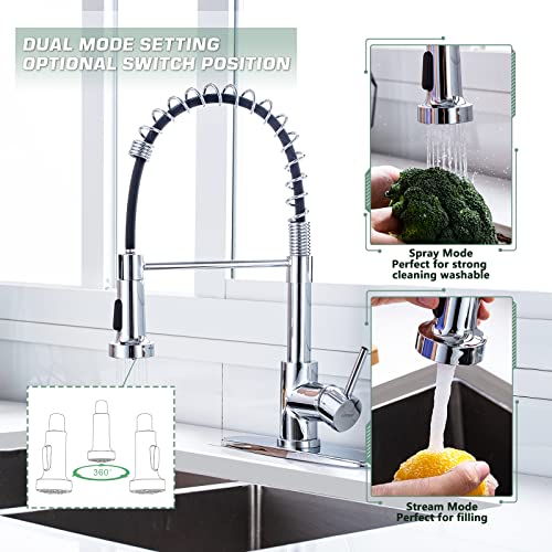 Pull Down Kitchen Faucet