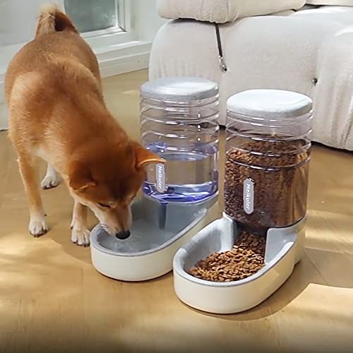 Automatic Dog Cat Feeder and Water Dispenser Set