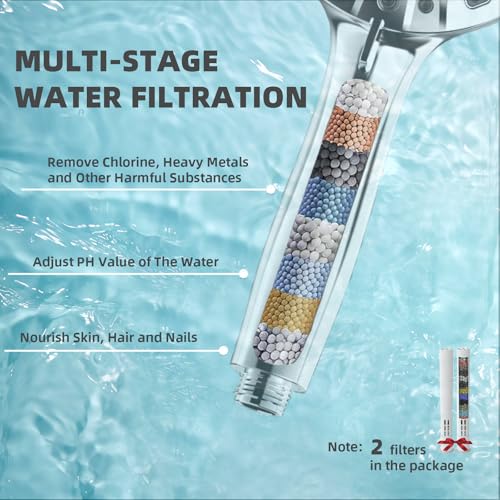 Filtered Shower Head with Handheld