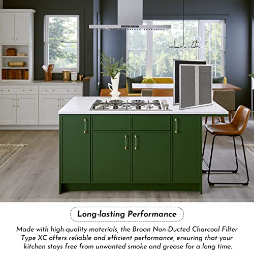 HPF30 Charcoal Filter with Mounting Clips for Broan Range Hood (2 Count)