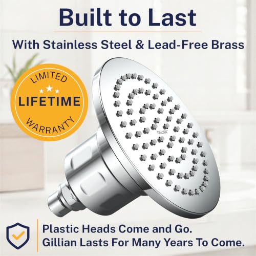 Gillian Filtered Shower Head for Hard Water