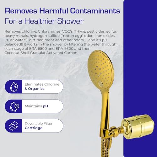 Luxury Handheld Shower Power Filtration System
