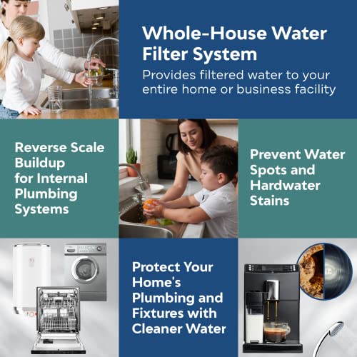 Water Descaler for Tankless Water Heater and Whole