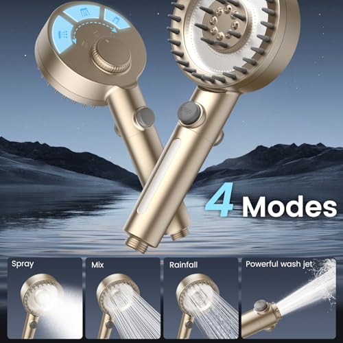 Filtered Shower Head with Handheld