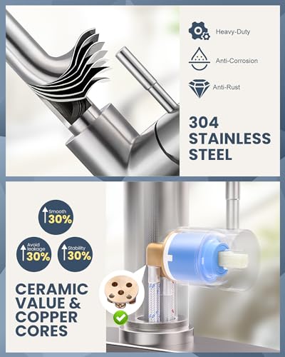Kitchen Faucet with Air Gap