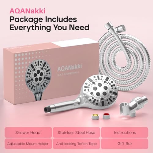 Filtered Shower Head with Handheld