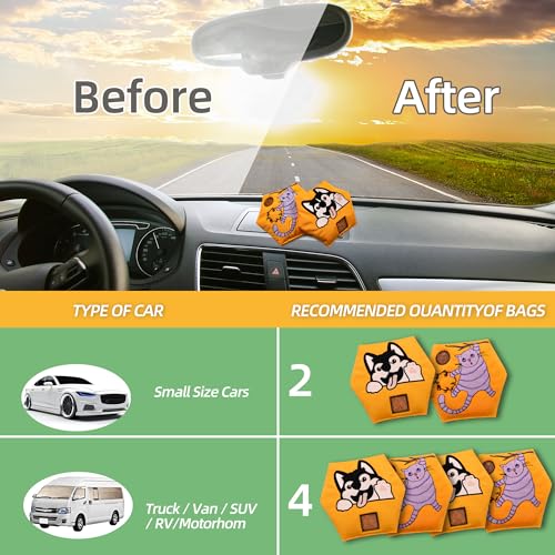 600g 2pcs Rechargeable Desiccant Packs for Storage (2 Count)