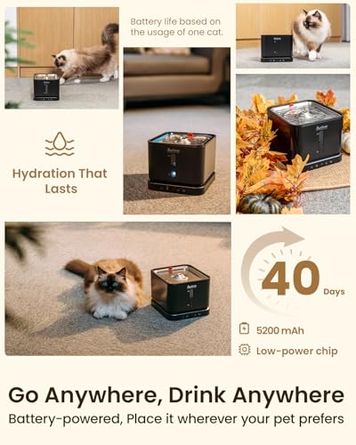 Cordless Cat Water Fountain