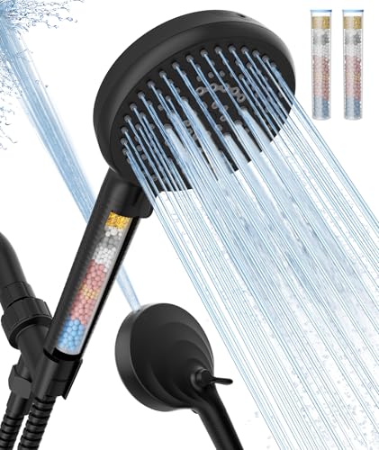 Filtered Shower Head with Handheld