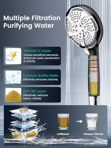 Filtered Shower Head with Handheld
