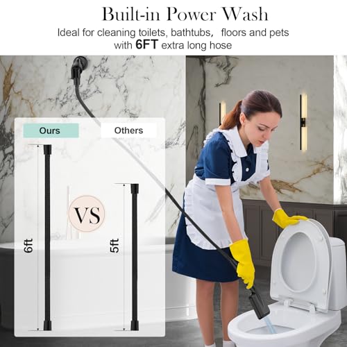 Filtered Shower Head with Handheld