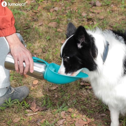 Portable Dog Water Bottle 27 OZ