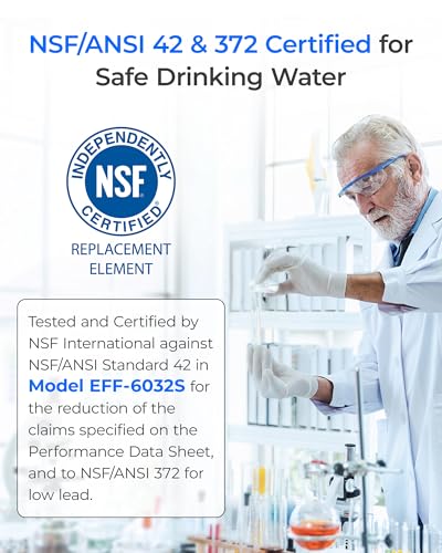 ADQ36006101 Replacement for LG® LT700P® Water Filter (4 Count)
