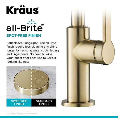 Oletto Single Handle Kitchen Bar Faucet in Spot Free Antique Champagne Bronze