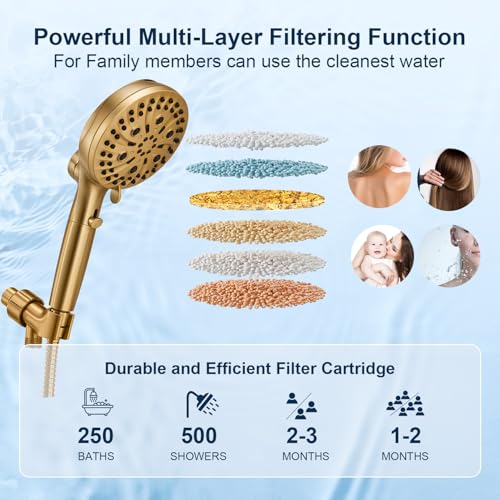 Filtered Shower Head with Handheld