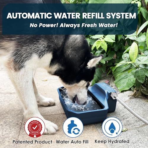 Automatic Water Dispenser for Dogs