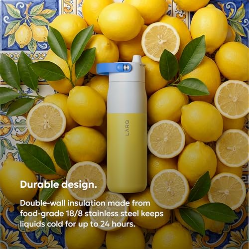 Swig Top Insulated Stainless Steel Water Bottle with Straw and Handle