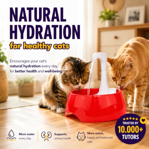 Aqua First Pet Water Fountain