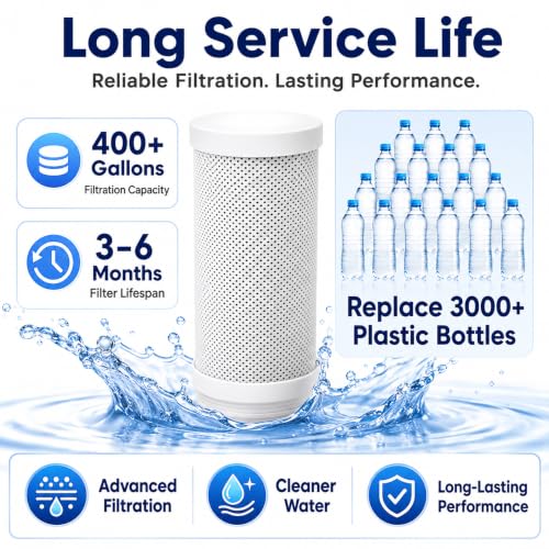 Faucet Mount Replacement Filter Cartridge (2 Count)