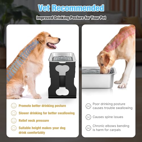 14" Elevated Dog Water Bowl