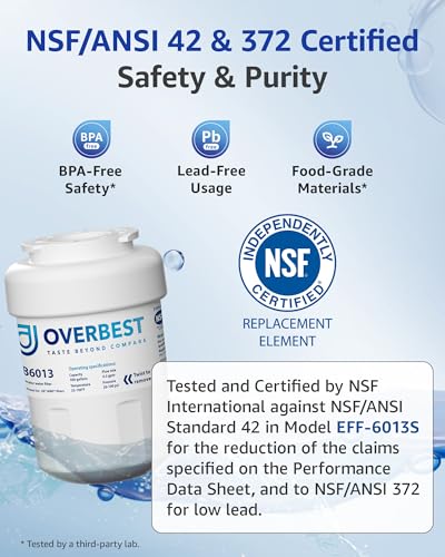 OB6013 Refrigerator Water Filter