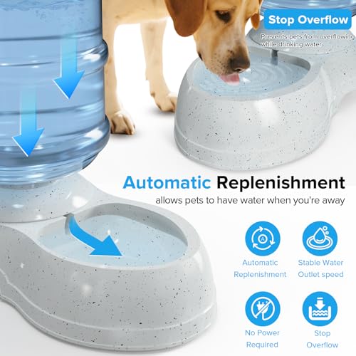 3 Gallon Large Dog Water Dispenser