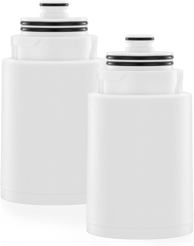 Ryamen Shower Head Filters Replacement ONLY for Dual 10