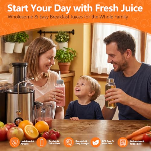 Glass Water Bottles with Lids 16 oz