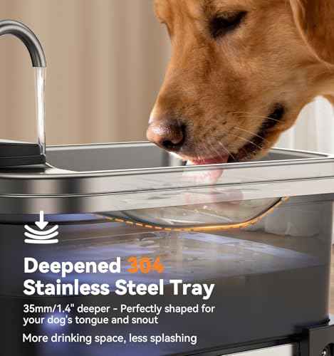 9L 2.38Gal Dog Water Fountain Elevated with 4