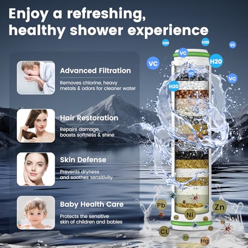 Filtered Shower Head with Handheld