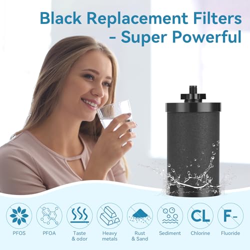 2 PCS 2387 Pro Replacement Water Filter Compatible with Alexapure