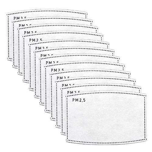 12 PCS PM2.5 Activated Carbon Face Mask Filter for Adults (12 Count)