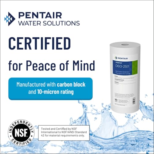 Pentair Pentek DGD