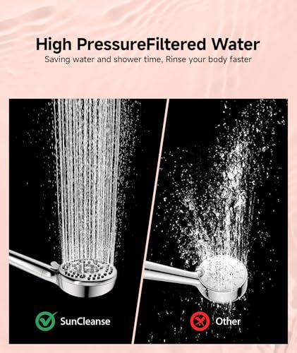 Filtered Shower Head with Handheld