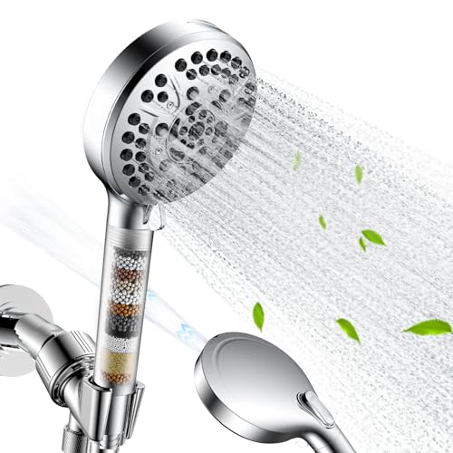Filtered Shower Head with Handheld