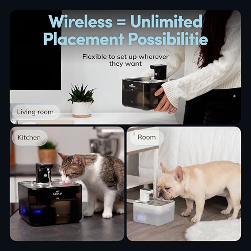 Cat Water Fountain Cordless