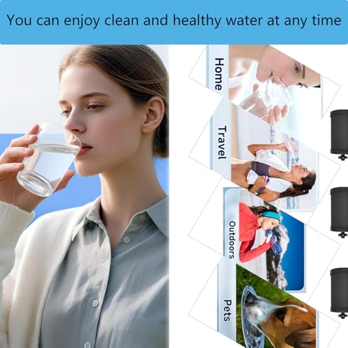 2387 Filter Replacement Compatible with Alexapure Water Filter 4 Pack (4 Count)