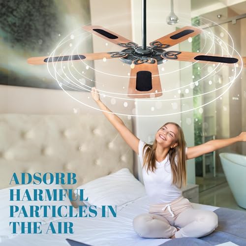 Ceiling Fan Filters for Blades